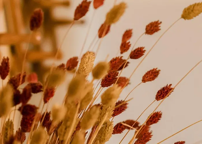 4 Εποχές * 칼라브리타