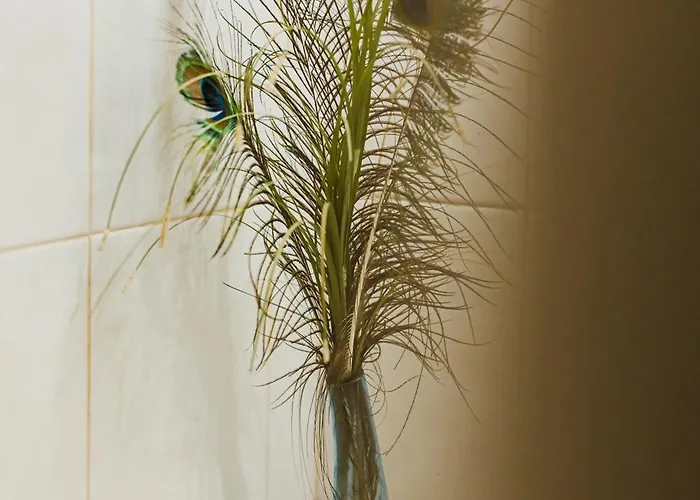 펜션 4 Εποχές 칼라브리타